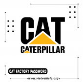 CAT FACTORY PASSWORD 10 DIGIT